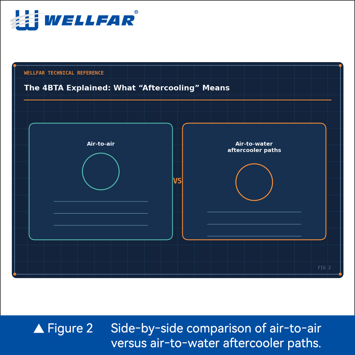 Fig2-Ins-1比1.jpg