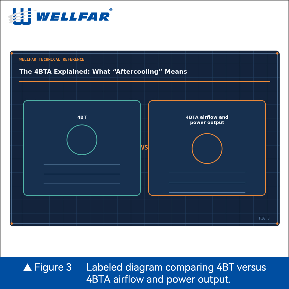 Fig3-Ins-1比1.jpg